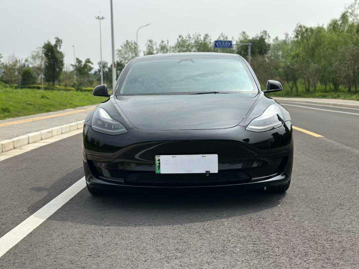 特斯拉 Model 3  2021款 標(biāo)準(zhǔn)續(xù)航后驅(qū)版圖片