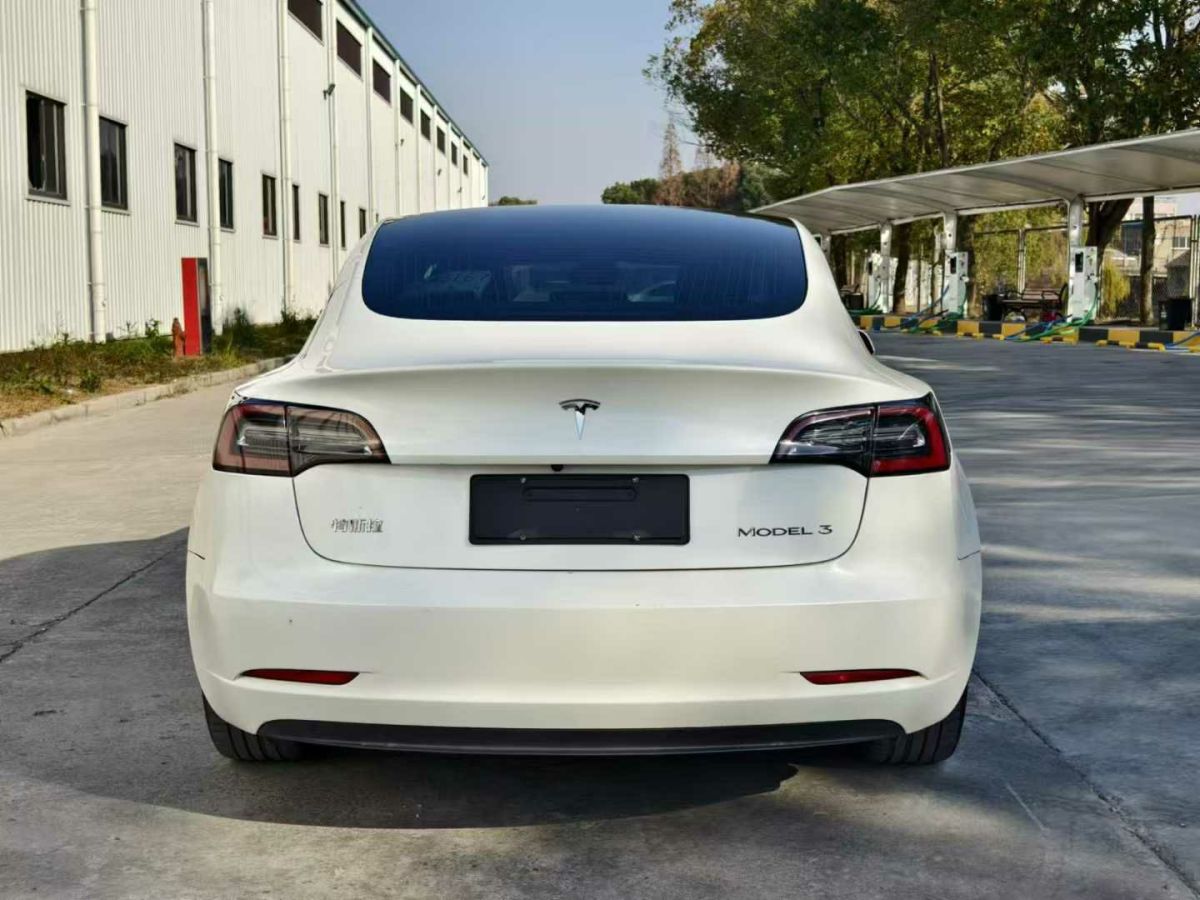 特斯拉 Model X  2020款 Performance 高性能版圖片