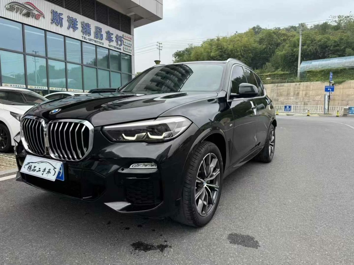 寶馬 寶馬X5  2021款 xDrive30i X設(shè)計(jì)套裝圖片