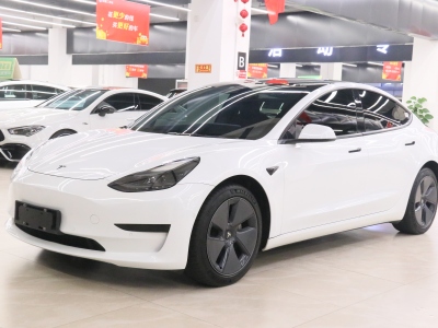 特斯拉 Model 3 標(biāo)準(zhǔn)續(xù)航后驅(qū)升級(jí)版圖片