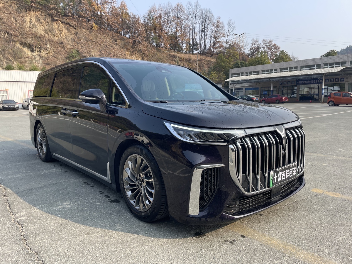 嵐圖 夢想家  2024款 PHEV 超長續(xù)航旗艦版圖片