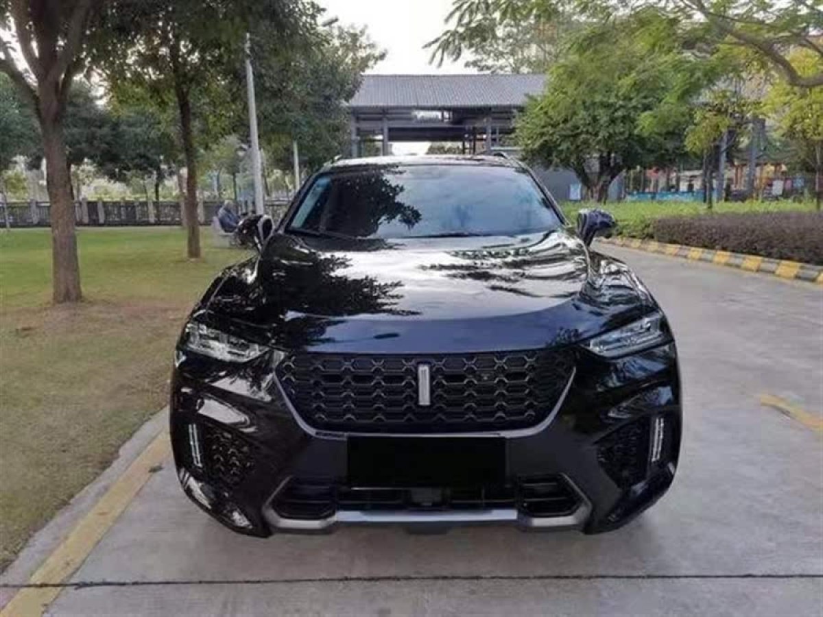 WEY VV5  2019款  1.5T 兩驅(qū)顏先鋒圖片