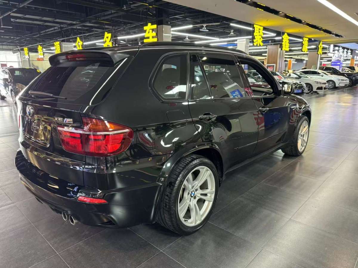 宝马 宝马X5  2011款 xDrive50i 豪华型图片