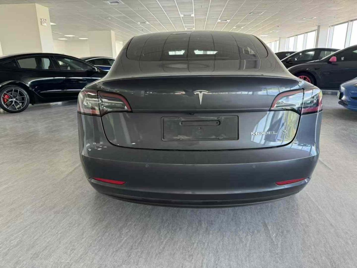 特斯拉 Model Y  2020款 標(biāo)準(zhǔn)續(xù)航后驅(qū)升級(jí)版圖片