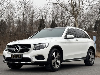 2016年6月 奔馳 奔馳GLC GLC 300 4MATIC 豪華型圖片