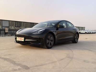 2021年6月 特斯拉 Model 3 標(biāo)準(zhǔn)續(xù)航后驅(qū)升級(jí)版圖片