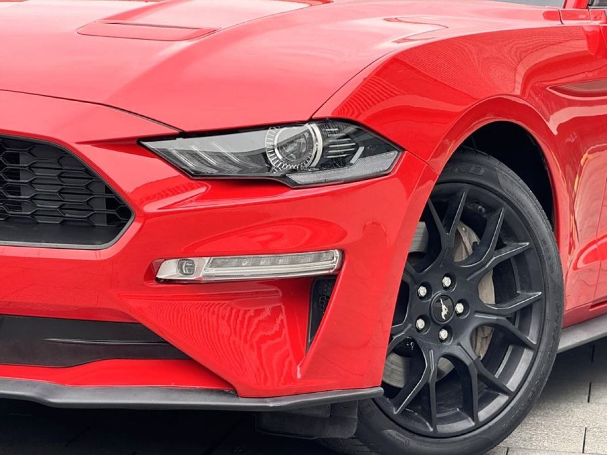 福特 Mustang  2019款 2.3L EcoBoost圖片