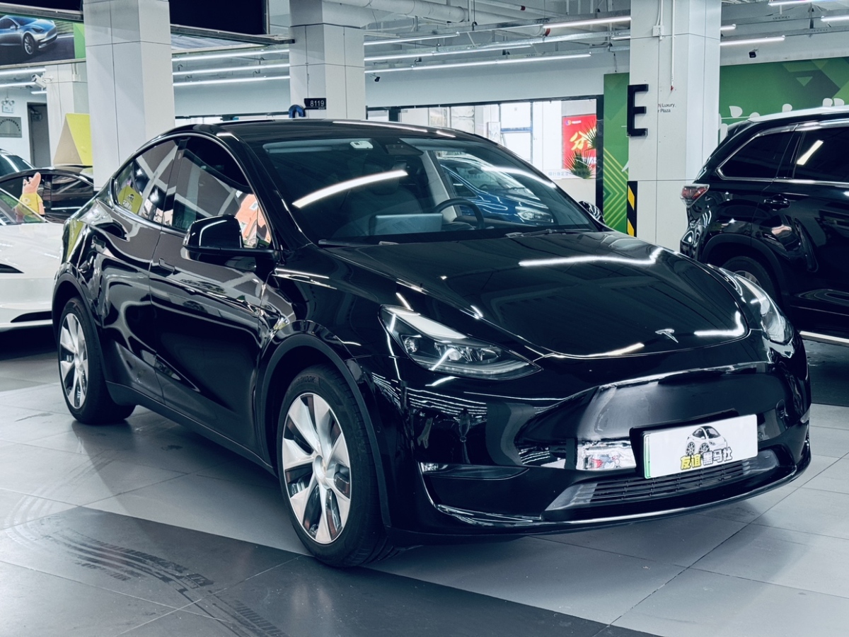 特斯拉 Model Y  2021款 長(zhǎng)續(xù)航全輪驅(qū)動(dòng)版圖片