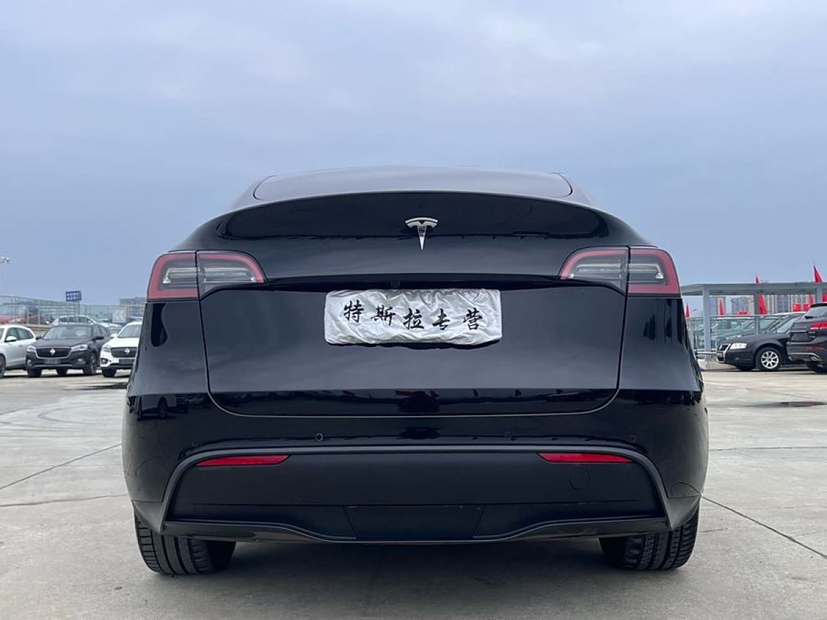 特斯拉 Model Y  2021款 改款 標準續(xù)航后驅升級版圖片