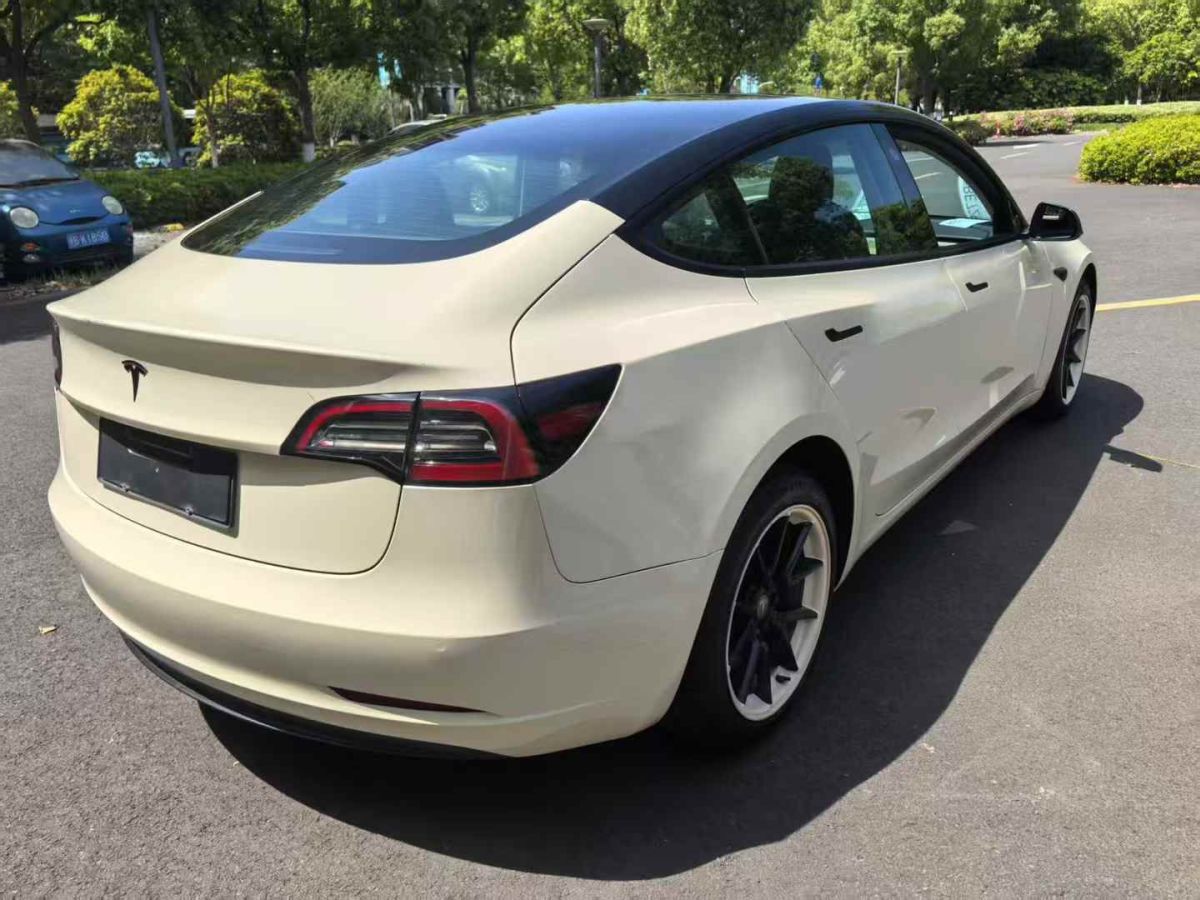 特斯拉 Model S  2021款 Performance 高性能版圖片