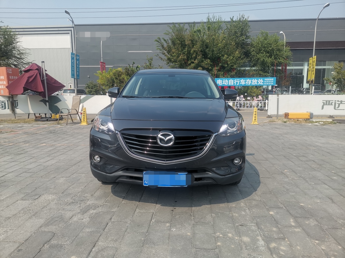 馬自達(dá) CX-9  2013款 3.7L 自動標(biāo)準(zhǔn)型圖片