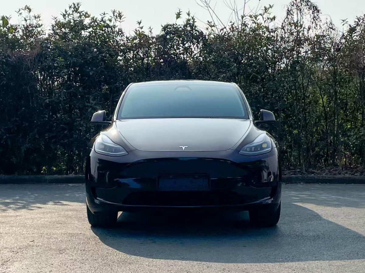 特斯拉 Model Y  2024款 Performance高性能版圖片