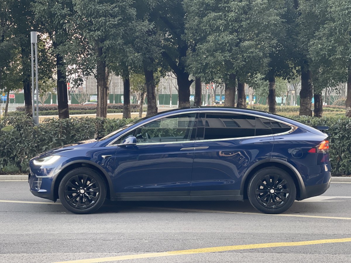 特斯拉 Model X  2017款 Model X 100D 長續(xù)航版圖片