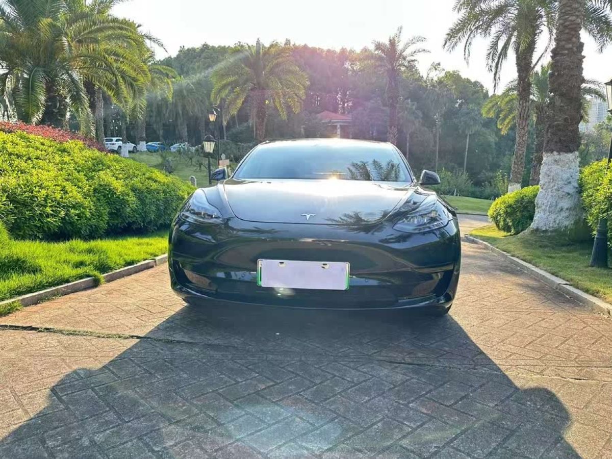特斯拉 Model 3  2022款 后輪驅(qū)動版圖片