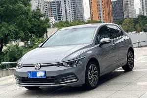 高爾夫 大眾 280TSI DSG 30周年紀念版