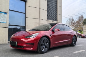 Model 3 特斯拉 標(biāo)準(zhǔn)續(xù)航后驅(qū)升級(jí)版 3D6