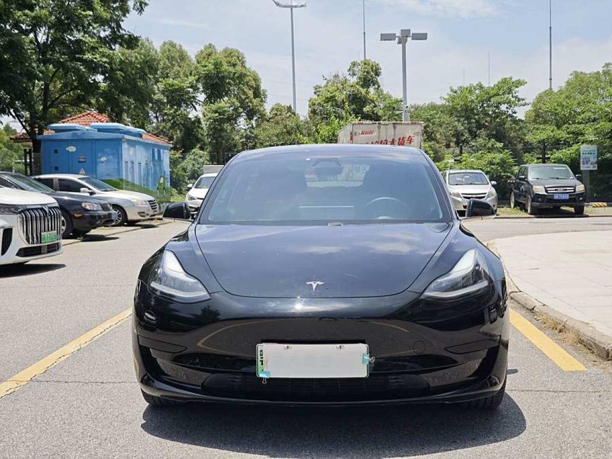 特斯拉 Model Y  2020款 改款 標(biāo)準(zhǔn)續(xù)航后驅(qū)升級版圖片