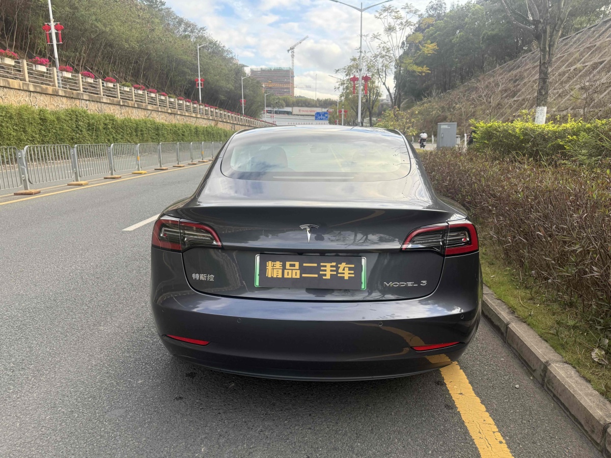 2021年4月特斯拉 Model 3  2021款 標(biāo)準(zhǔn)續(xù)航后驅(qū)升級(jí)版 3D6