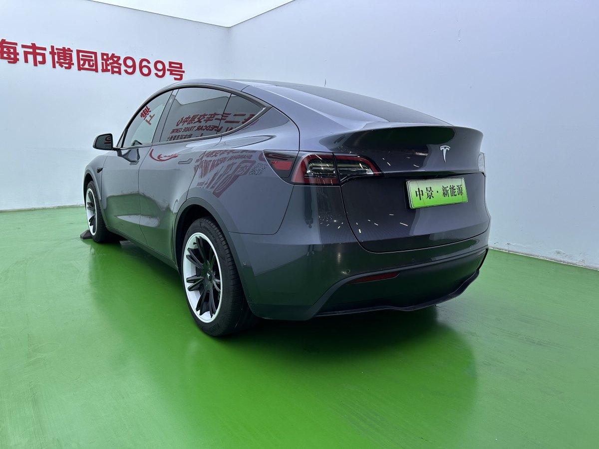 特斯拉 Model Y  2020款 改款 長續(xù)航后輪驅(qū)動版圖片