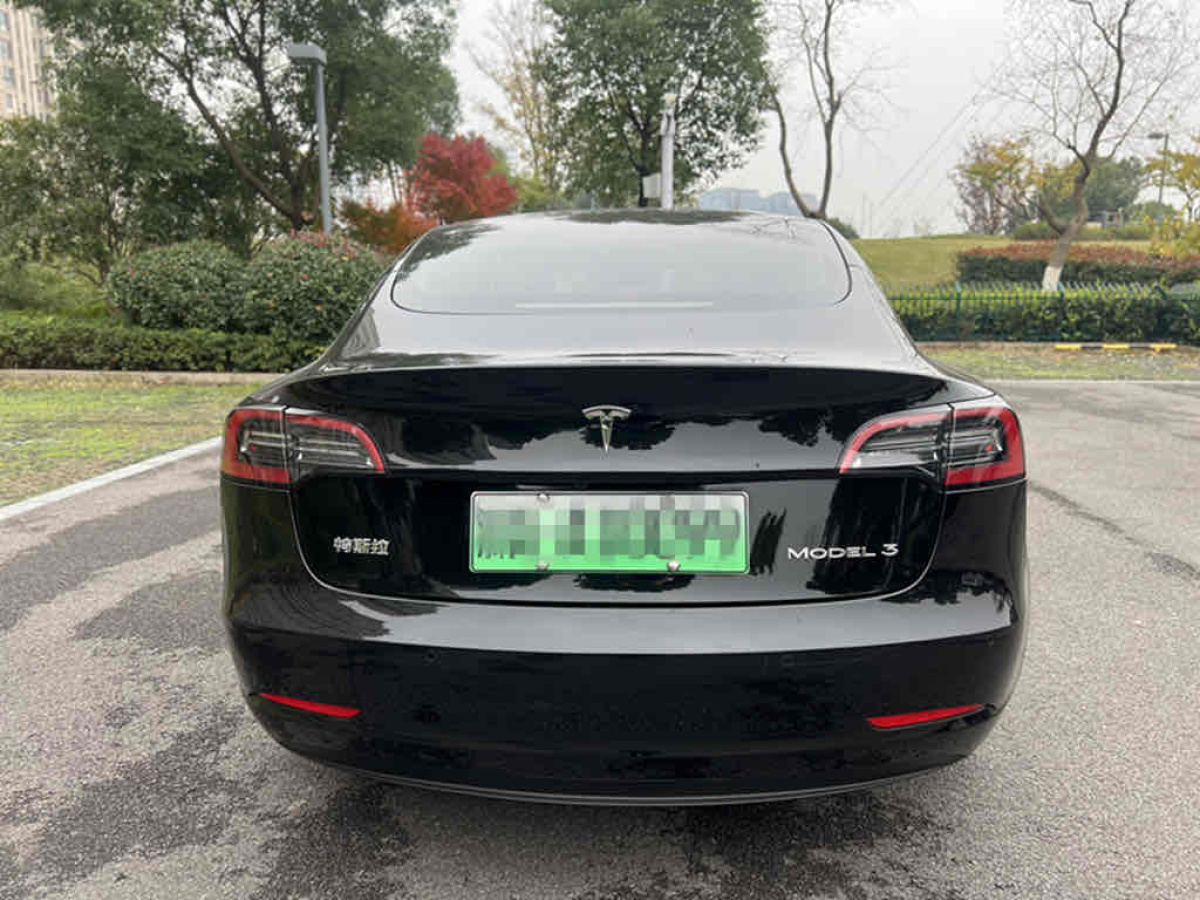 特斯拉 Model 3  2021款 標(biāo)準(zhǔn)續(xù)航后驅(qū)升級版 3D6圖片