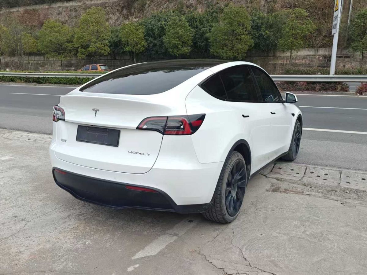 特斯拉 Model 3  2022款 Performance高性能全輪驅(qū)動(dòng)版圖片