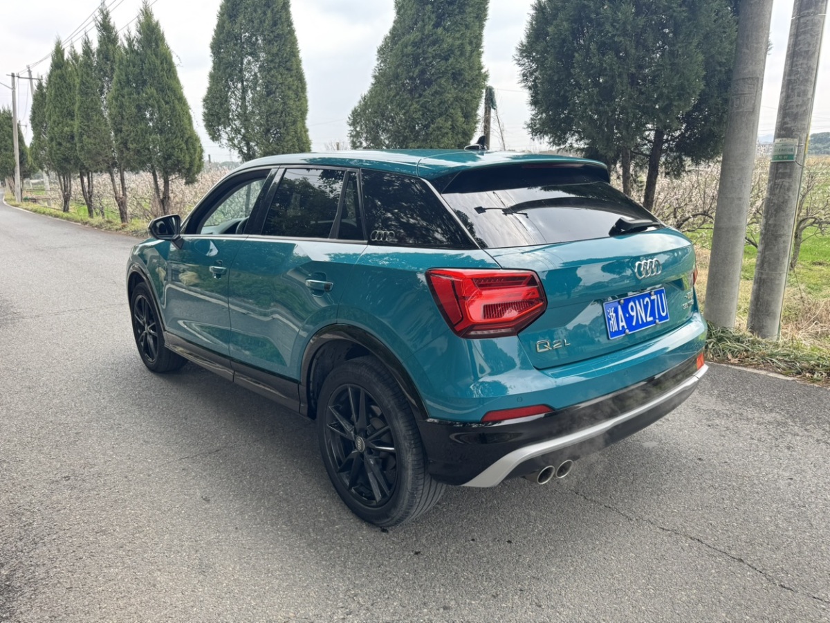 奧迪 奧迪Q2L  2021款 35 TFSI 進(jìn)取動(dòng)感型圖片