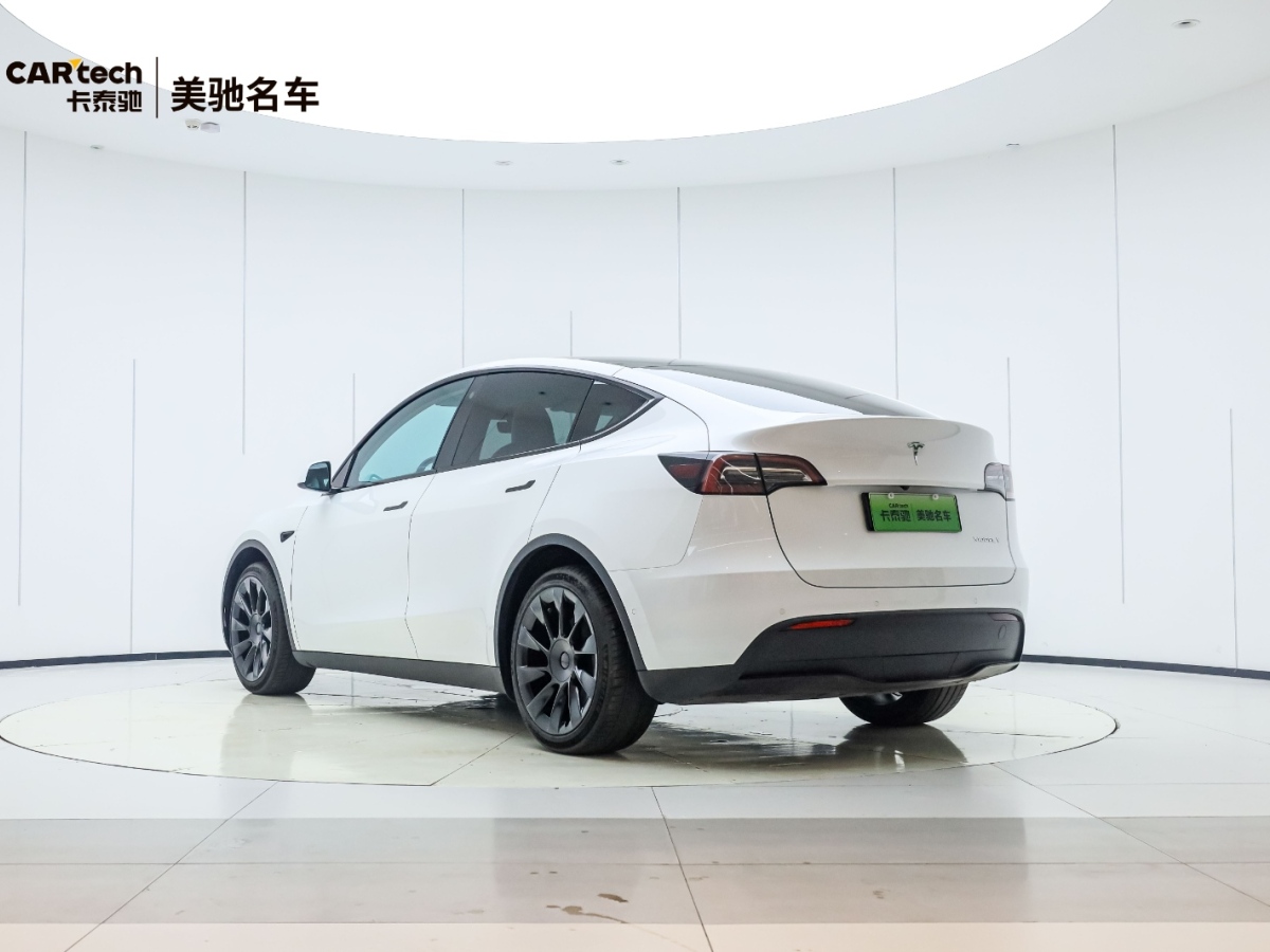 特斯拉 Model Y  2020款 Performance高性能全輪驅(qū)動版圖片