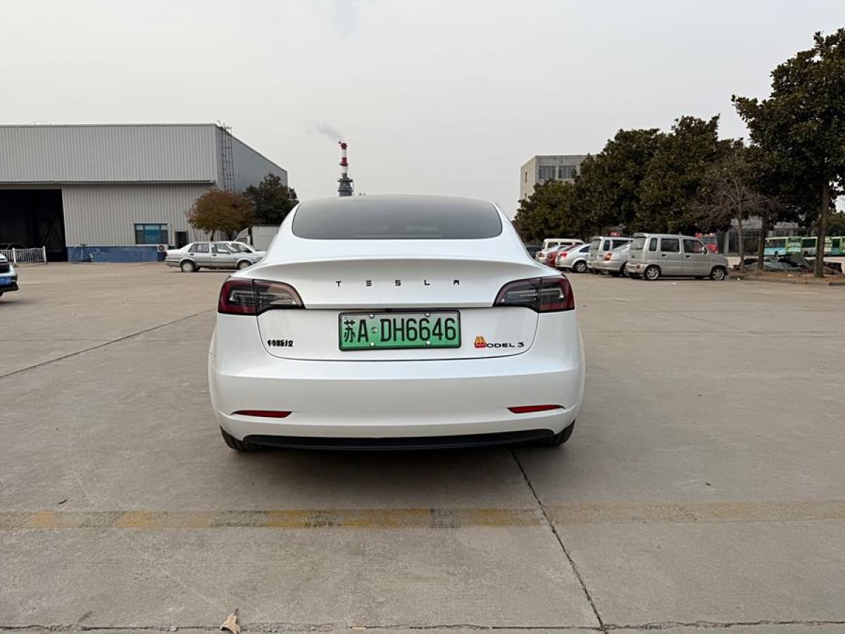 特斯拉 Model 3  2019款 長續(xù)航后驅(qū)版圖片