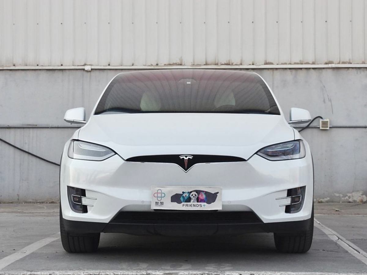 特斯拉 Model X  2016款 Model X 75D圖片