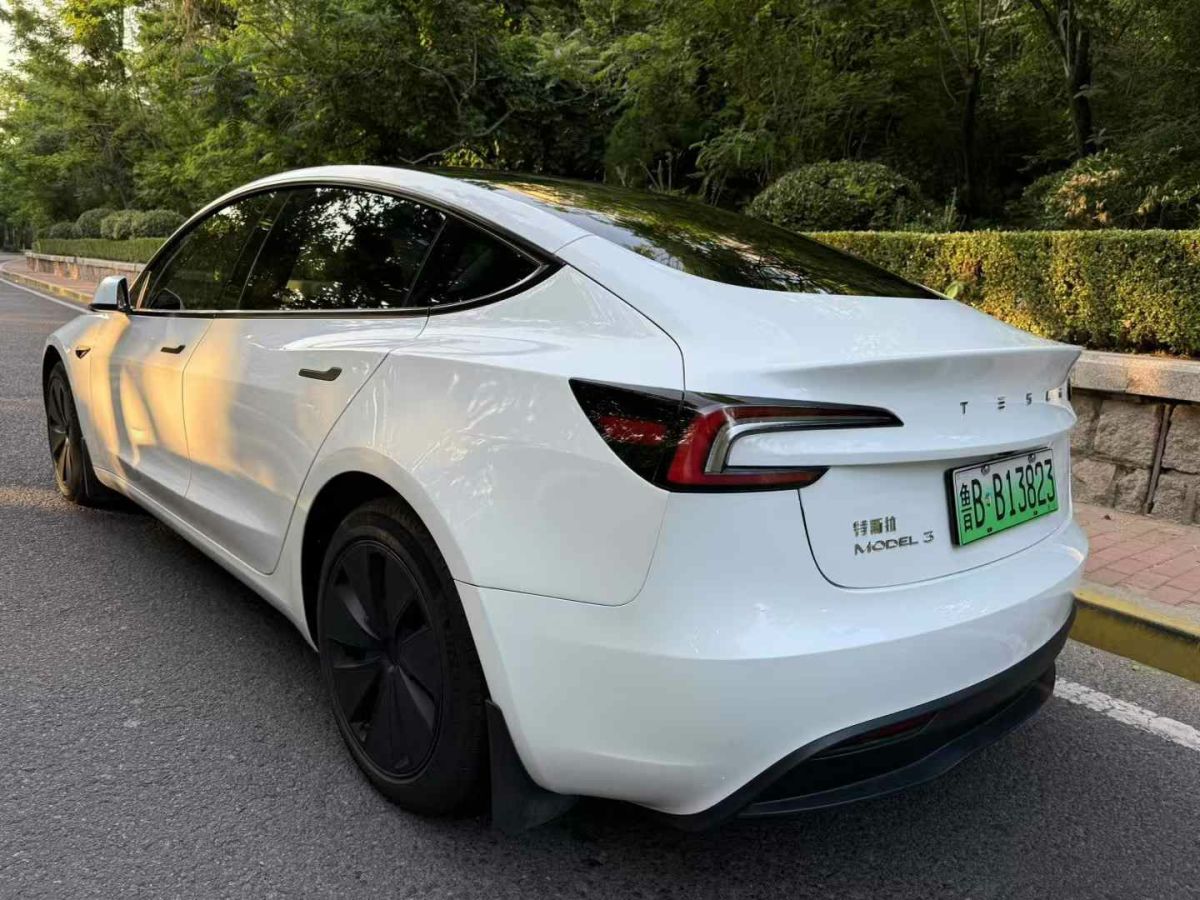 特斯拉 Model Y  2024款 Performance高性能版圖片