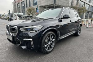 寶馬X5 寶馬 xDrive30i豪華型