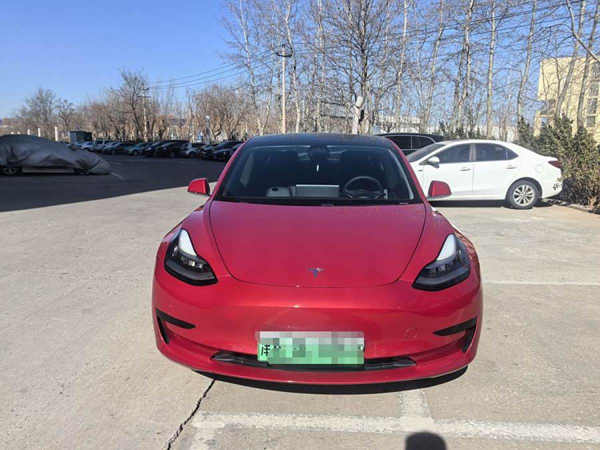 特斯拉 Model 3  2020款 改款 標(biāo)準(zhǔn)續(xù)航后驅(qū)升級版圖片