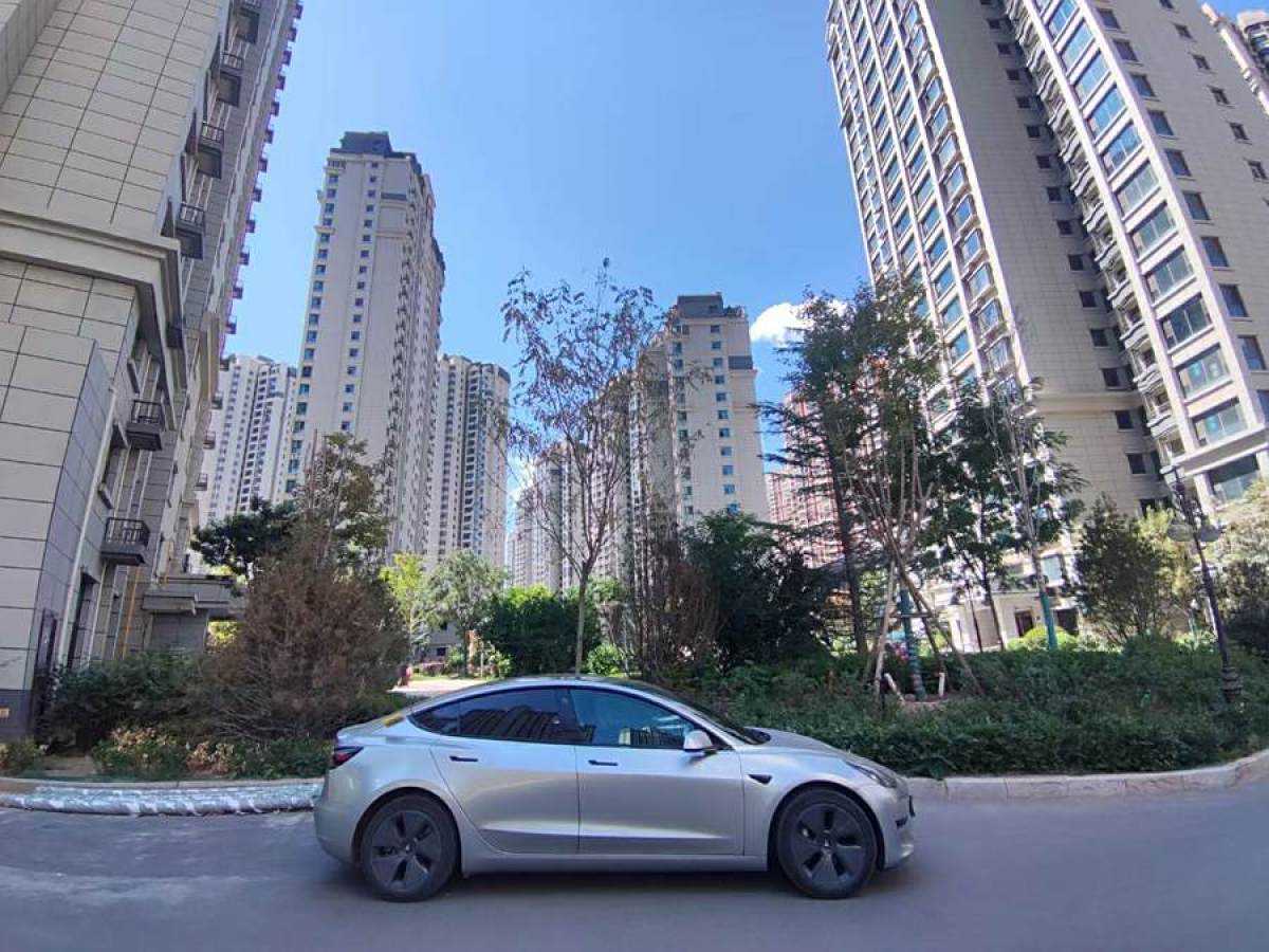 特斯拉 Model Y  2023款 后輪驅(qū)動版圖片