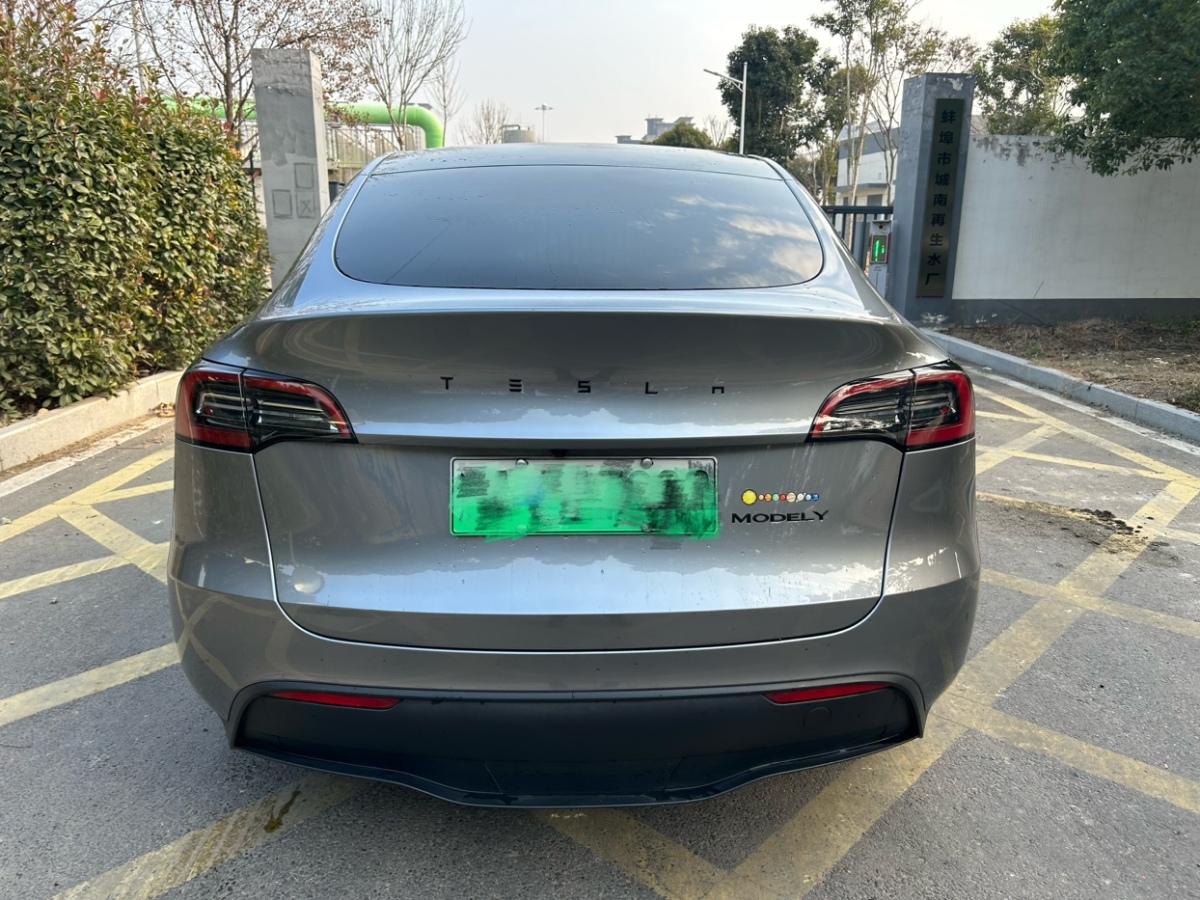 特斯拉 Model Y  2024款 后輪驅(qū)動(dòng)版圖片