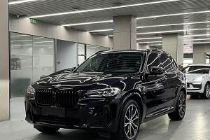 寶馬X3 寶馬 xDrive30i 領(lǐng)先型 M曜夜套裝