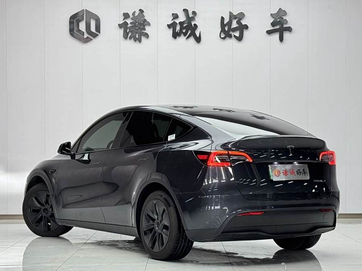 特斯拉 Model Y  2020款 改款 長續(xù)航后輪驅(qū)動版圖片