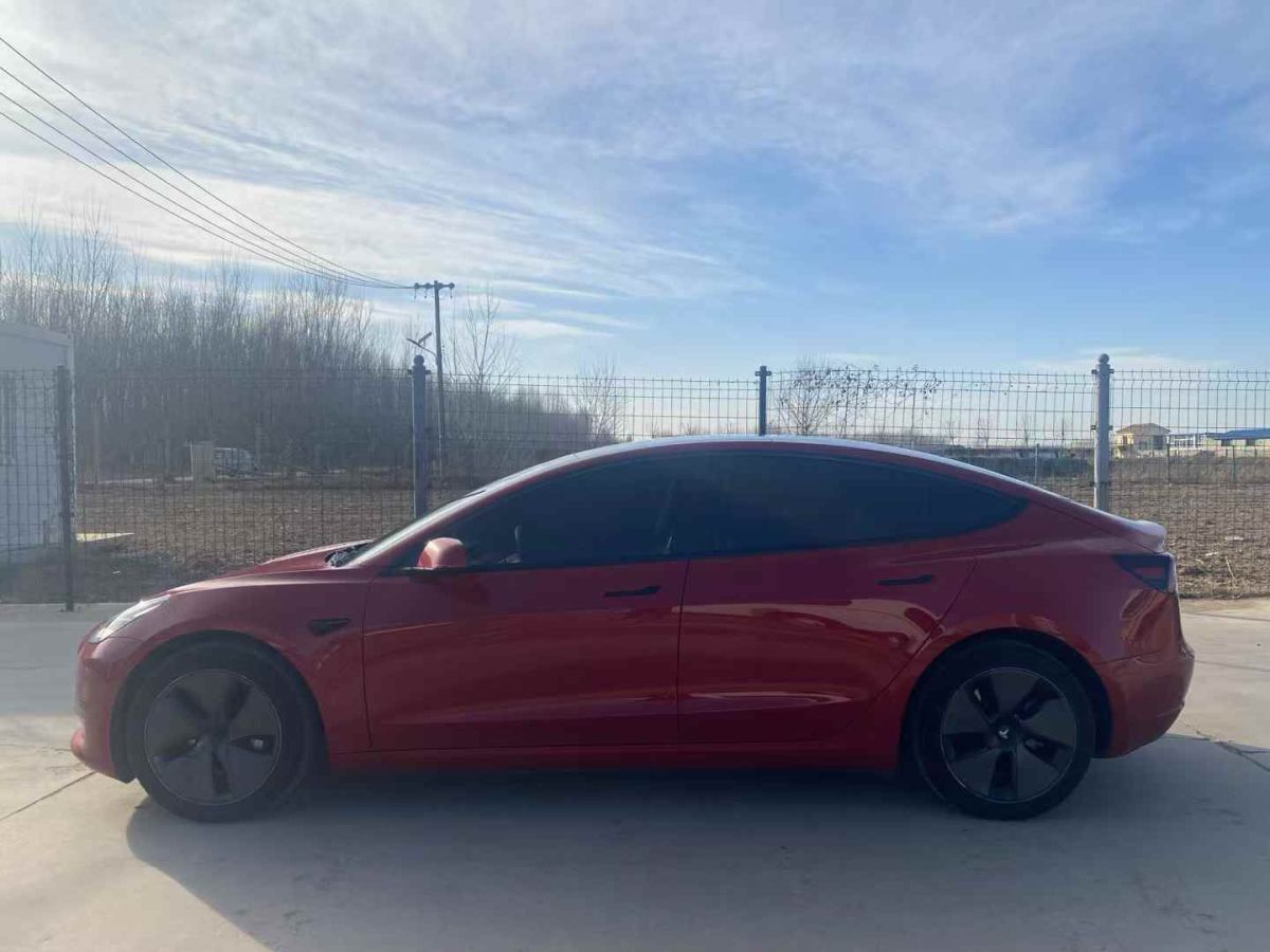 特斯拉 Model Y  2021款 標(biāo)準(zhǔn)續(xù)航后驅(qū)版圖片