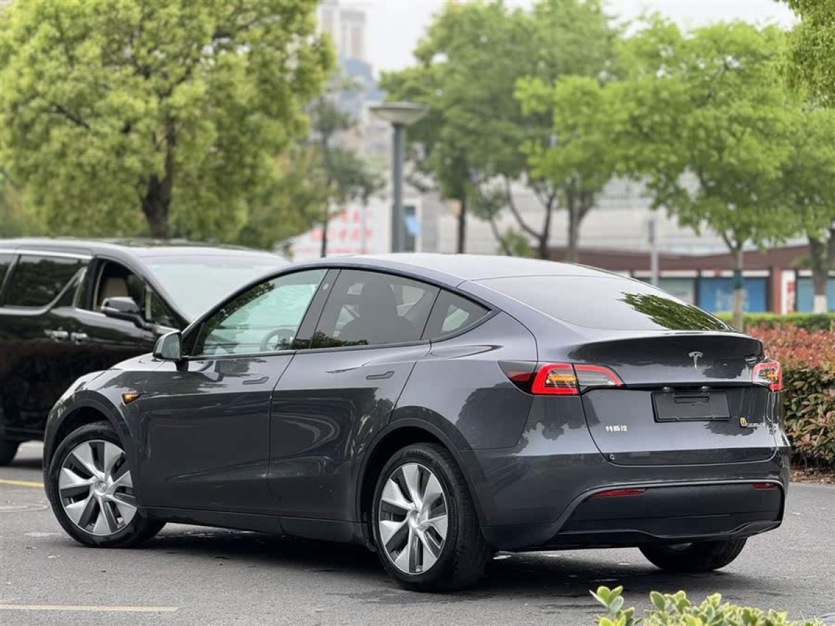 特斯拉 Model Y  2021款 長(zhǎng)續(xù)航全輪驅(qū)動(dòng)版 3D7圖片
