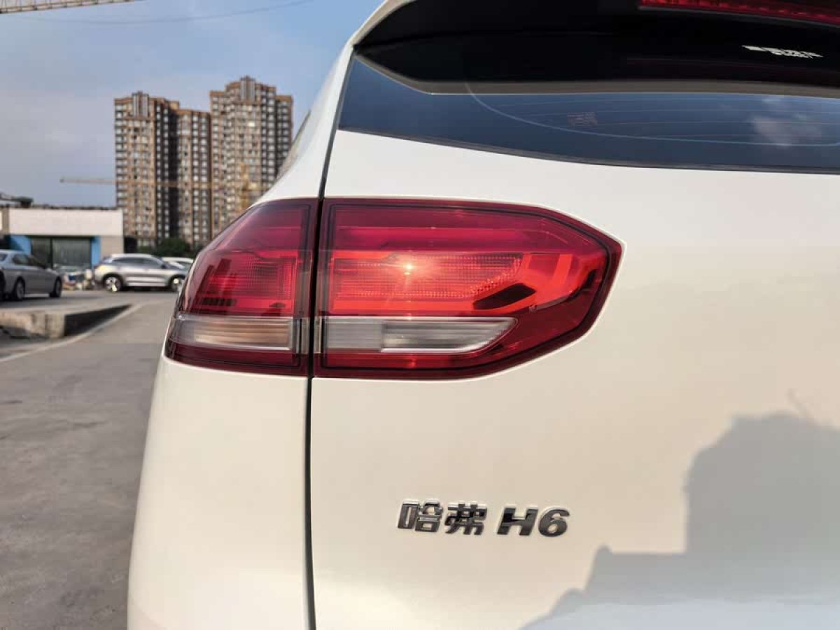 哈弗 H6  2020款 1.5GDIT 自動(dòng)鉑金都市版圖片
