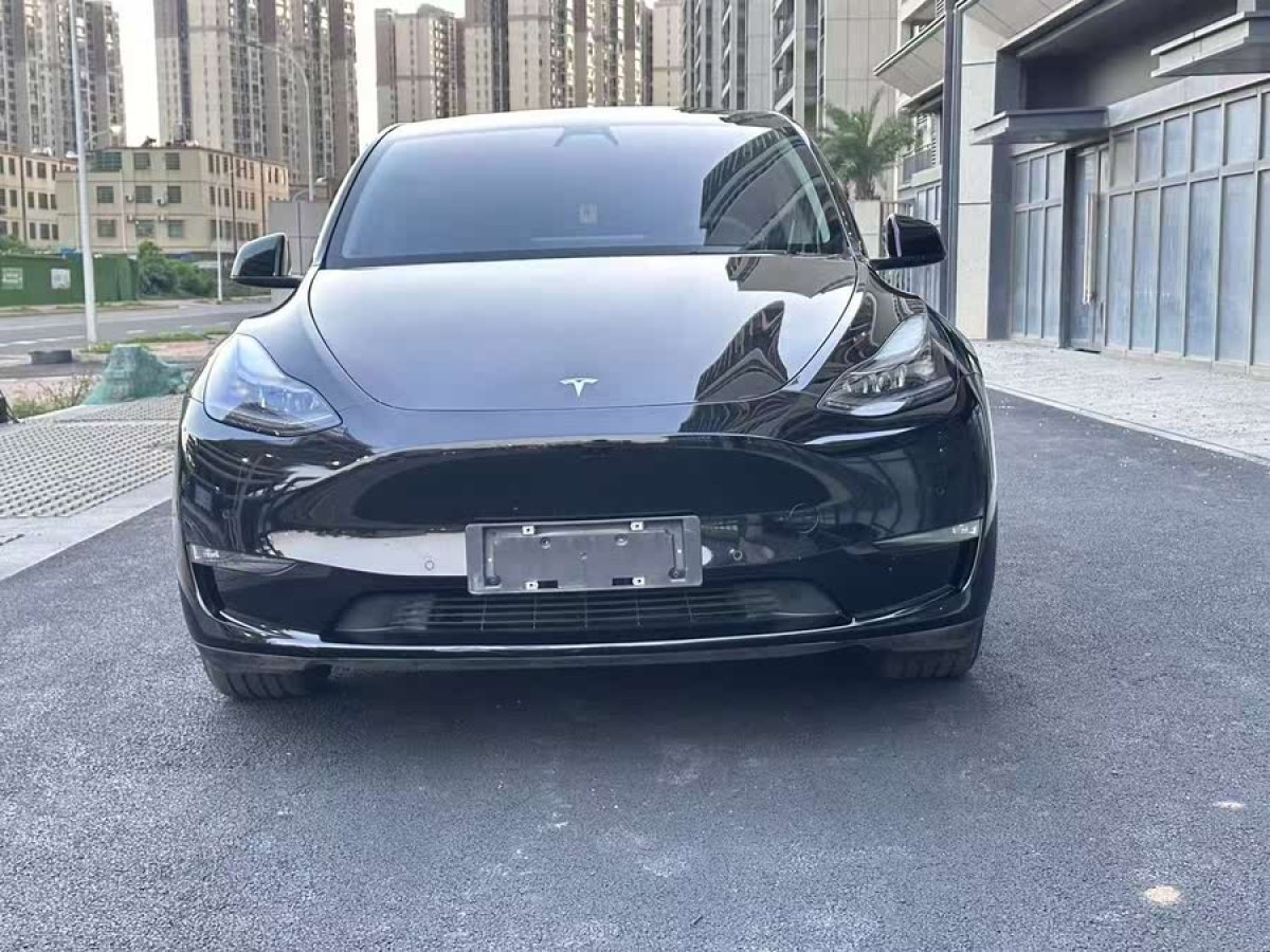 特斯拉 Model Y  2021款 標準續(xù)航后驅(qū)版圖片