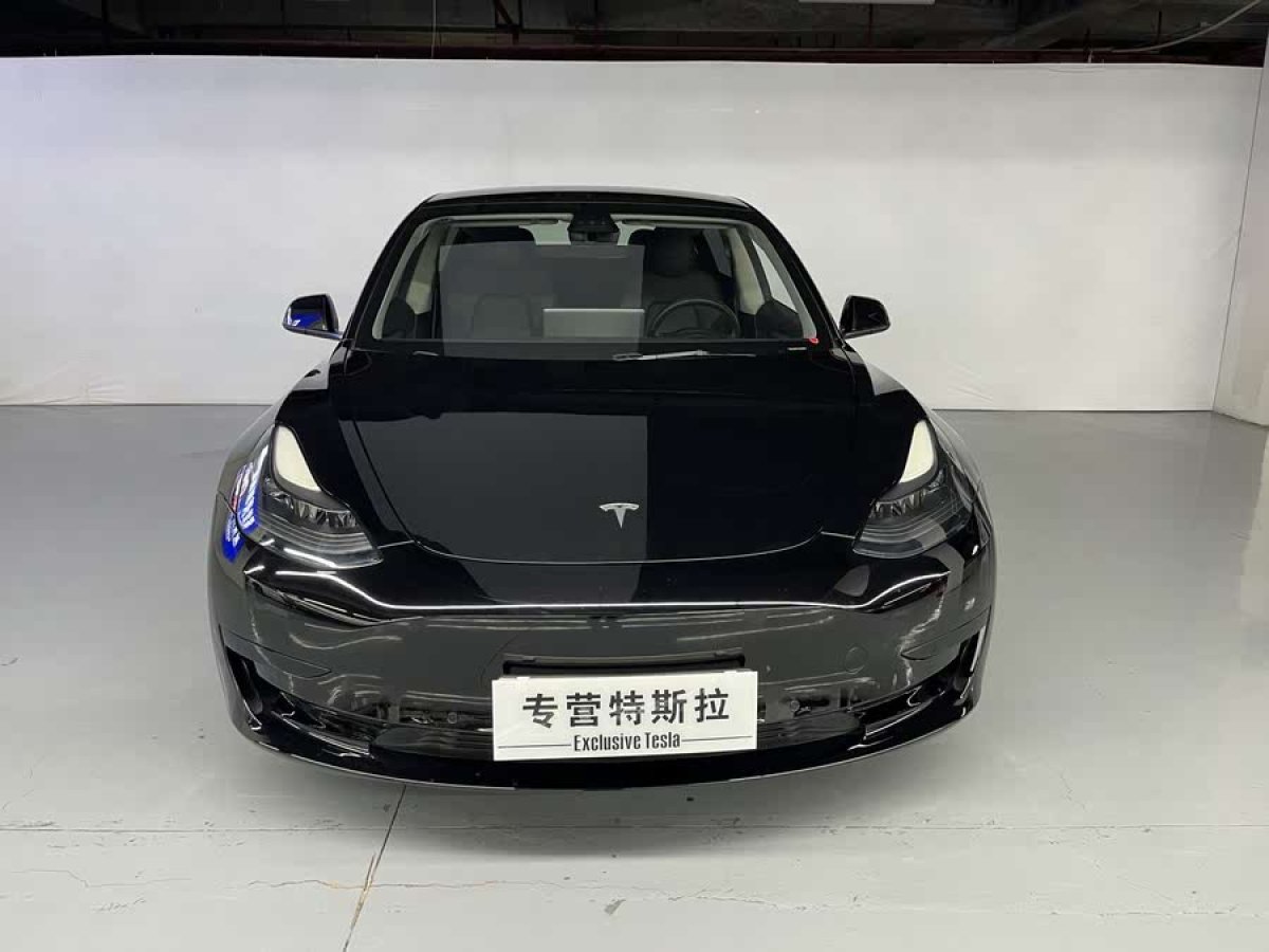 特斯拉 Model 3  2021款 標(biāo)準(zhǔn)續(xù)航后驅(qū)升級(jí)版 3D6圖片