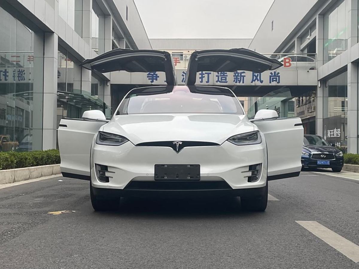 特斯拉 Model X  2019款 長續(xù)航版圖片