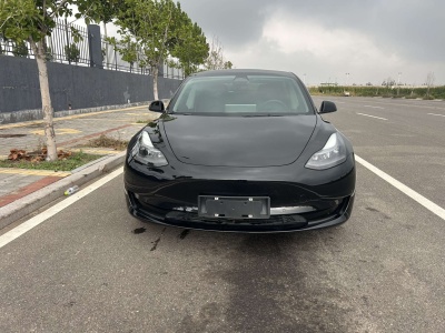 2022年03月 特斯拉 Model 3 后轮驱动版图片