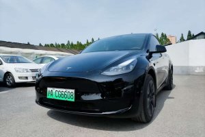 Model Y 特斯拉 后輪驅(qū)動(dòng)版