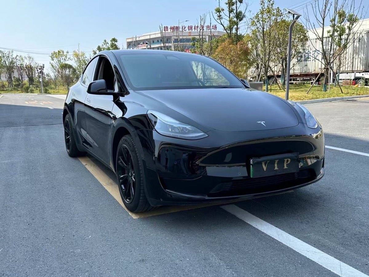 特斯拉 Model 3  2020款 改款 長續(xù)航后輪驅動版圖片