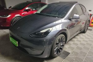 Model Y 特斯拉 Performance高性能全輪驅(qū)動(dòng)版