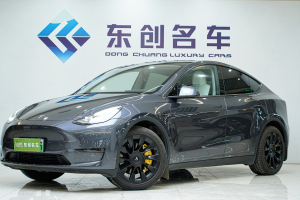 Model 3 特斯拉 改款 Performance高性能全輪驅(qū)動(dòng)版