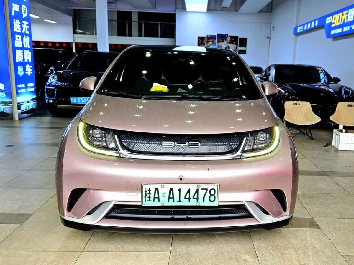比亞迪 海豚  2021款 405km 時(shí)尚版圖片
