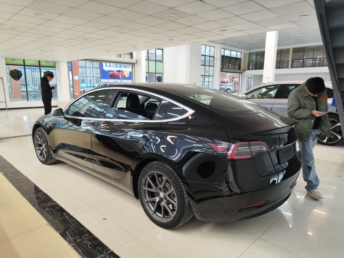 特斯拉 Model 3  2019款 長續(xù)航后驅(qū)版圖片