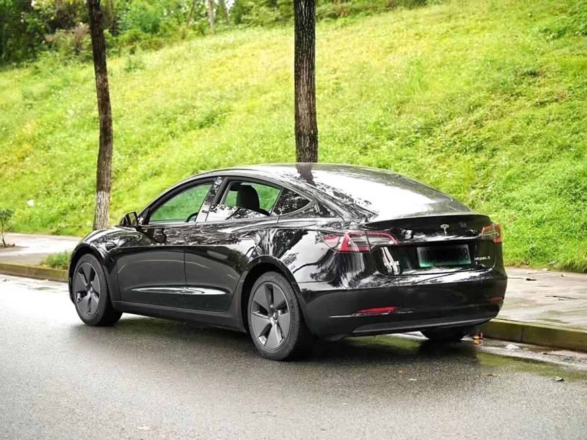 特斯拉 Model 3  2021款 改款 標準續(xù)航后驅(qū)升級版圖片